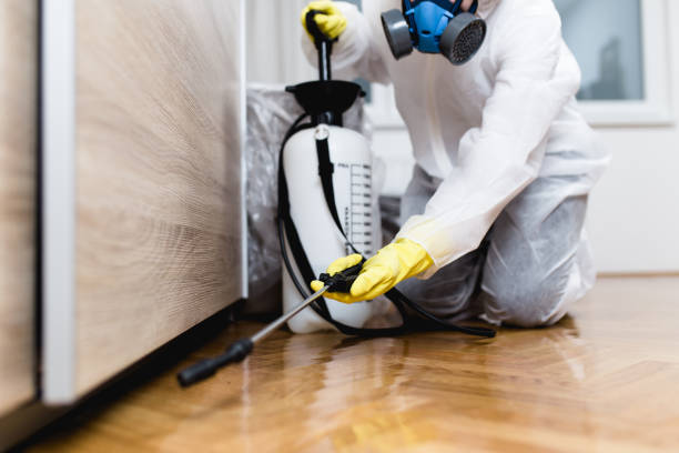 Best Pest Control for Homes  in Cloverdale, IN