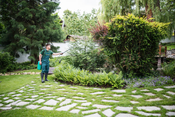Best Pest Control Near Me  in Cloverdale, IN