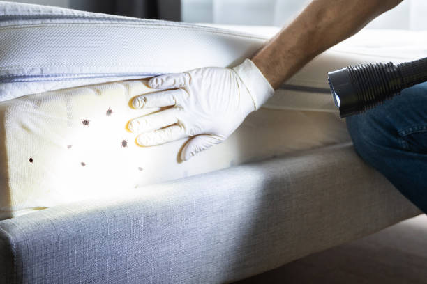 Best Commercial Pest Control Services  in Cloverdale, IN