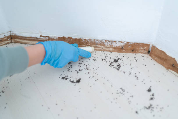 Best Pest Prevention Services  in Cloverdale, IN